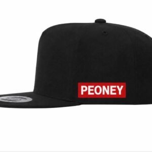 The PEONEY Flight & Foundation Snapback