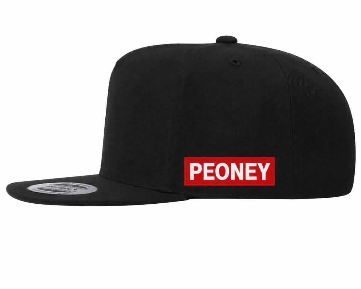 The PEONEY Flight & Foundation Snapback